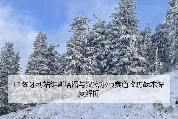 xiong-ya-li-zhan-wei-si-ta-pan-yu-han-mi-er-dun-sai-dao-gong-fang-zhan-shu-shen-du-jie-xi-3-345.jpg